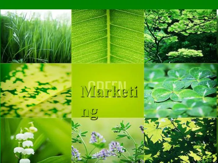 green marketing term paper green marketing term paper