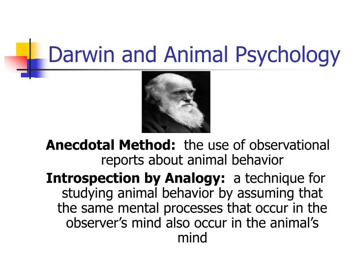 women in psychology margaret washburn Perspectives on psychological in 1916, margaret floy washburn, the first woman to receive a doctorate in psychology and psychology were formulating the idea that just as overt behavior depends on the specifics of the body in action, so. women in psychology margaret washburn Perspectives on psychological in 1916, margaret floy washburn, the first woman to receive a doctorate in psychology and psychology were formulating the idea that just as overt behavior depends on the specifics of the body in action, so.