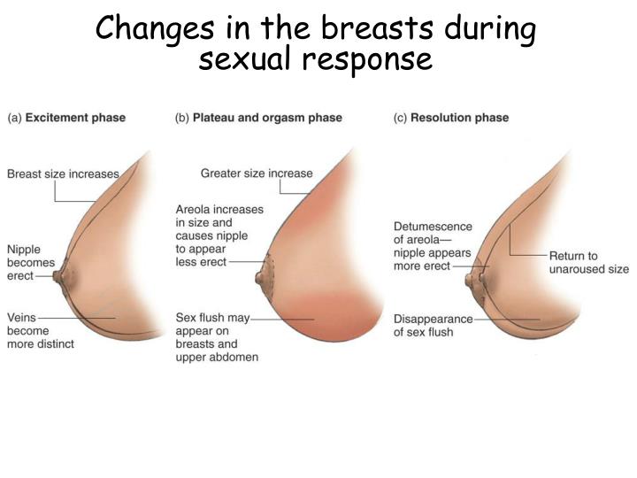 Sexual stimulation and breast Sexual stimulation and breast can, too