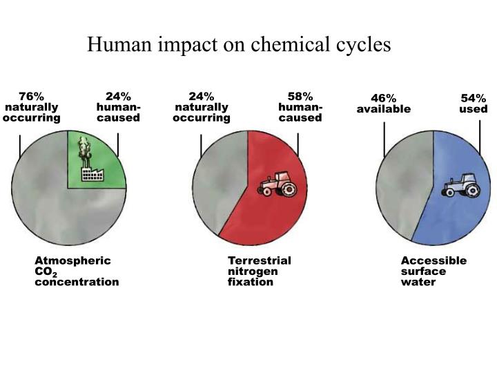 human impacts on the carbon nitrogen Get an answer for 'give specific examples of each cycle and how humans impact nitrogen cycle, phosphorus cycle, and carbon cycle ' and find homework. human impacts on the carbon nitrogen Get an answer for 'give specific examples of each cycle and how humans impact nitrogen cycle, phosphorus cycle, and carbon cycle ' and find homework.