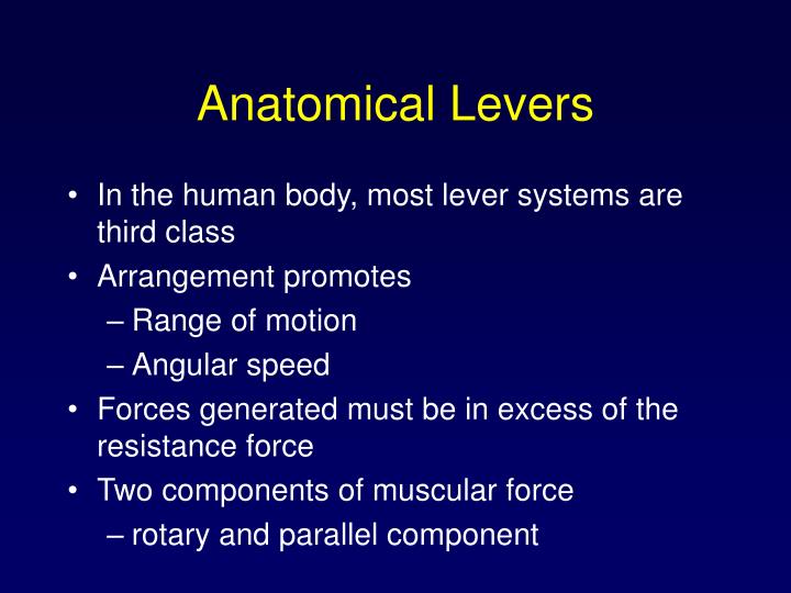 PPT - Chapter 13: Equilibrium and Human Movement PowerPoint