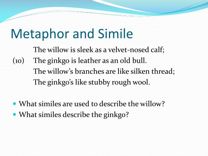 “simile willow and ginkgo” “simile willow and ginkgo”