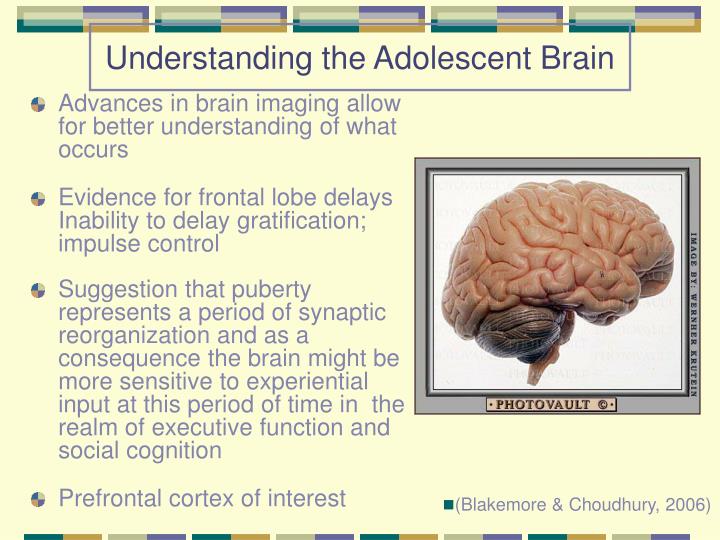why is it important to understand early brain development Why is it important to understand early brain development image 16