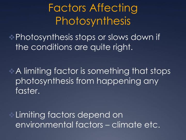 factor affecting photosynthesis Factors affecting the rate of photosynthesis a level biology project aims i plan to investigate how different factors affect the rate of photosynthesis. factor affecting photosynthesis Factors affecting the rate of photosynthesis a level biology project aims i plan to investigate how different factors affect the rate of photosynthesis.