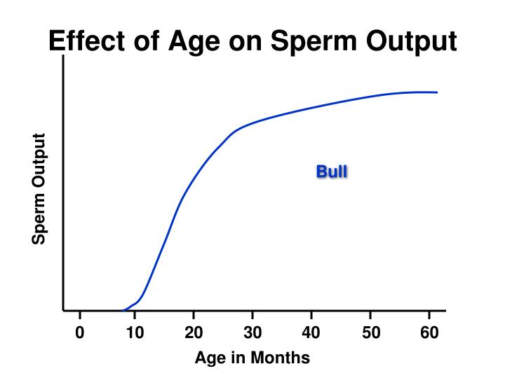 Transexual spunk shots Age for sperm