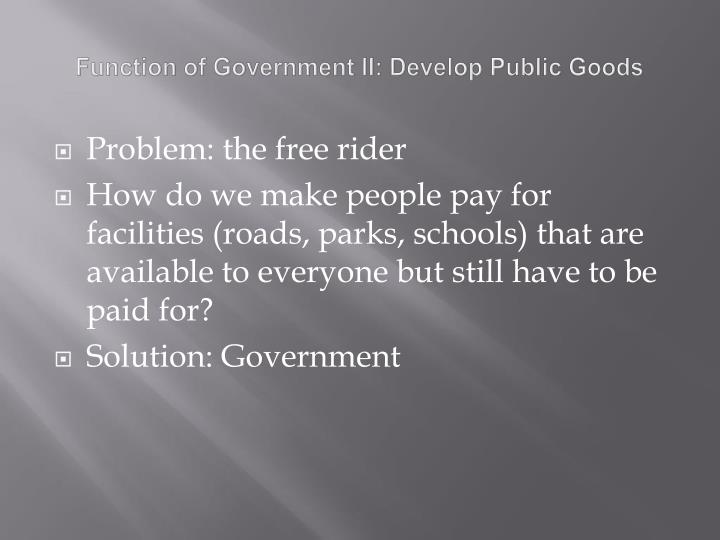 the purpose and function of a government the purpose and function of a government