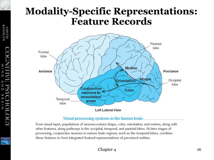 powerpoint presentation on long term memory Slide 2: short-term memory is the section of the memory storage system of limited capacity that stores information for only a brief amount of. powerpoint presentation on long term memory Slide 2: short-term memory is the section of the memory storage system of limited capacity that stores information for only a brief amount of.