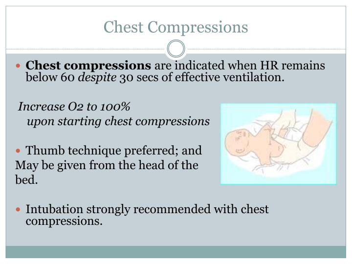 Ppt - Nrp 6 Th Edition Update Powerpoint Presentation - Id:1110177