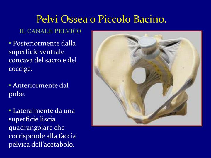 Chirurgia vascolare di unarteria vertebrale