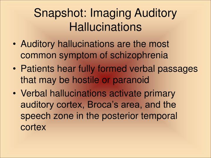 schizophrenia auditory hallucination simulation