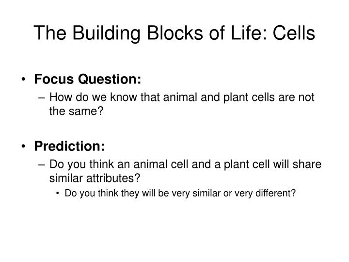 PPT The Building Blocks of Life PowerPoint Presentation ID1141502