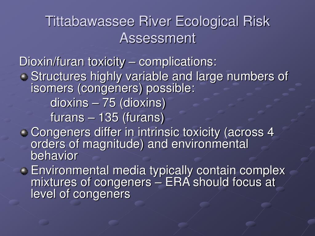 guidelines for developing quantitative safety risk criteria