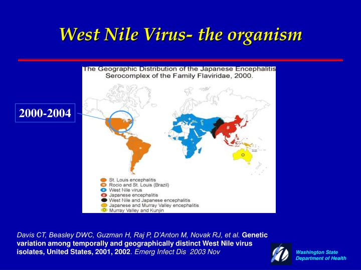 the background and distribution of the west nile virus from uganda Get the facts on west nile virus a virus known as the west nile virus first identified in uganda in west nile virus infection is also called west nile fever. the background and distribution of the west nile virus from uganda Get the facts on west nile virus a virus known as the west nile virus first identified in uganda in west nile virus infection is also called west nile fever.