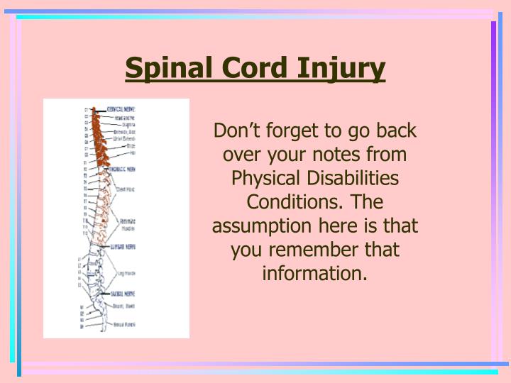 informative speech spinal cord injuries informative speech spinal cord injuries