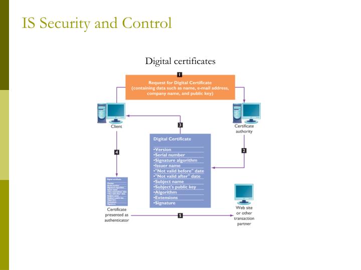 the ipremier company denial of serivice attack case analysis View ipremier company a case study in denial of service attacks unit 4 cis41530docx from cis 415 at post university ipremier company: a case study in denial of service attacks ipremier company a. the ipremier company denial of serivice attack case analysis View ipremier company a case study in denial of service attacks unit 4 cis41530docx from cis 415 at post university ipremier company: a case study in denial of service attacks ipremier company a.