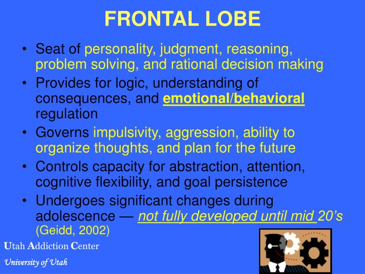 PPT ADOLESCENT BRAIN DEVELOPMENT PowerPoint Presentation ID 1212998