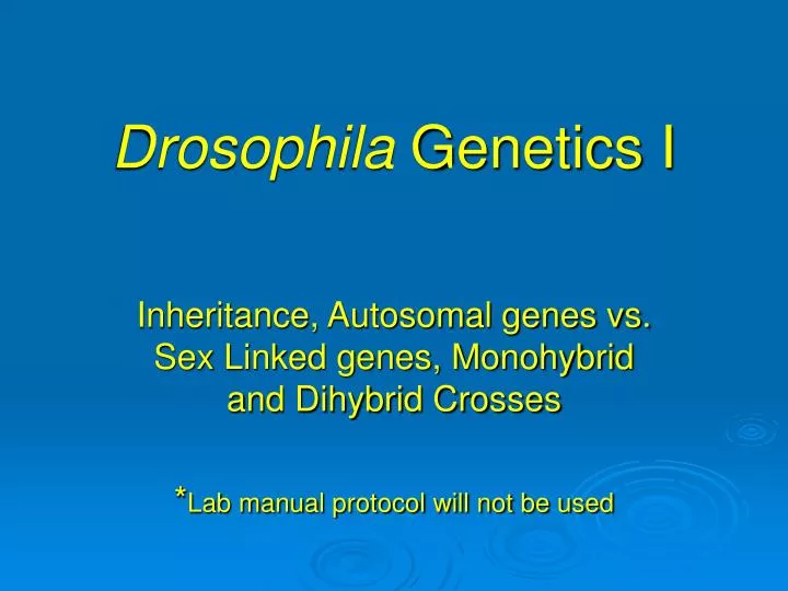 Sex Linked Dihybrid 105