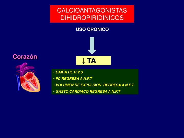 PPT - Calcioantagonistas en el tratamiento de la PPT - Calcioantagonistas en el tratamiento de la