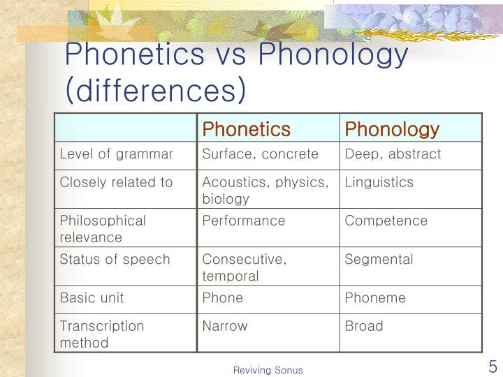 PPT - Phonology: The Sound Pattern Of Language PowerPoint Presentation ...