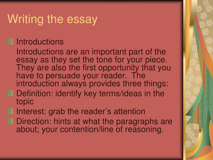 essay of looking for alibrandi essay of looking for alibrandi