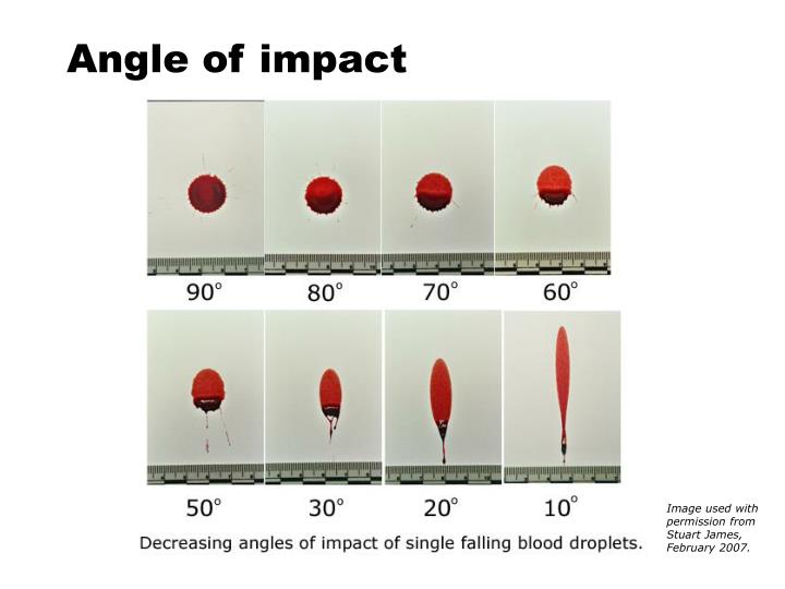 PPT - Bloodstain pattern analysis PowerPoint Presentation - ID:1263831