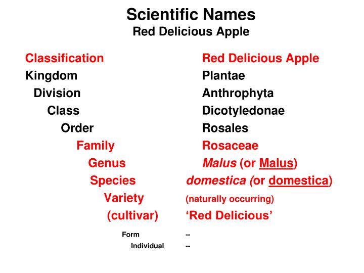 ppt-nomenclature-scientific-plant-classification-powerpoint