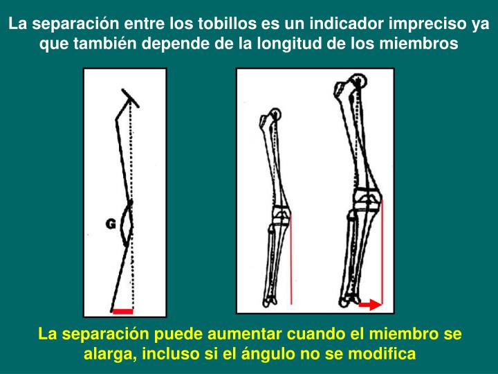 Un miembro pequeño y grande porno