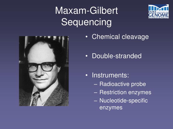 ppt sanger and maxam gilbert sequencing powerpoint ppt citation