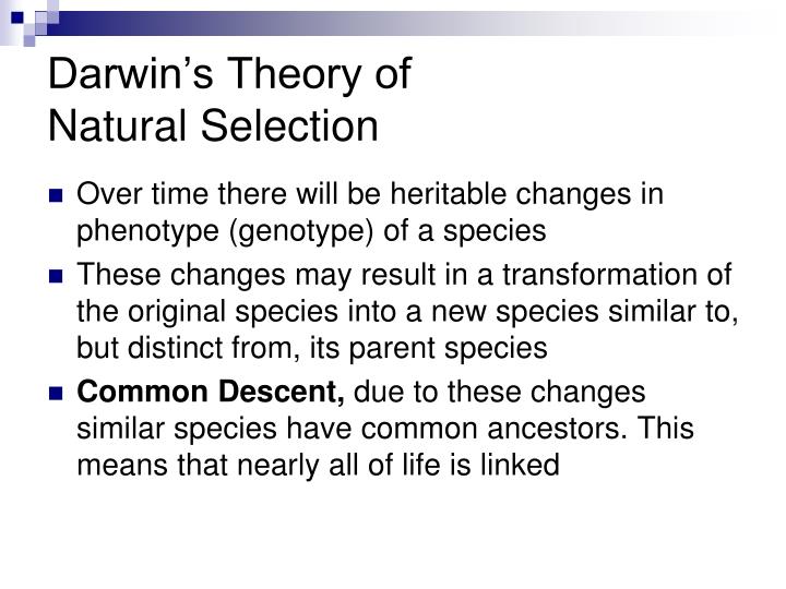 the transformation process in organisms in what is darwins theory of evolution by ker than N o soone r said than don technology fostered and encouraged a fragmenti ng process, evolutioll derr ick de ker khove of the mcluhan institute in. the transformation process in organisms in what is darwins theory of evolution by ker than N o soone r said than don technology fostered and encouraged a fragmenti ng process, evolutioll derr ick de ker khove of the mcluhan institute in.