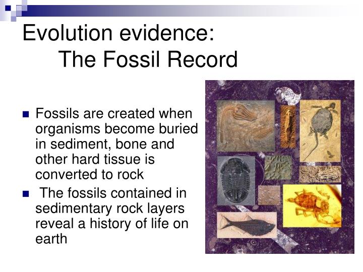PPT Darwin & Microevolution PowerPoint Presentation ID1279470