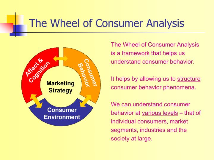 Customer behavior analysis example