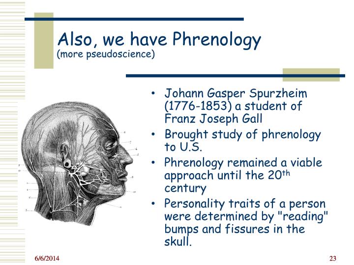 a discussion about the phrenology and personality traits a discussion about the phrenology and personality traits