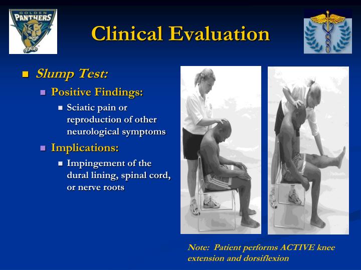PPT Thoracic and Lumbar Spine Special Tests and Pathologies PPT Thoracic and Lumbar Spine Special Tests and Pathologies