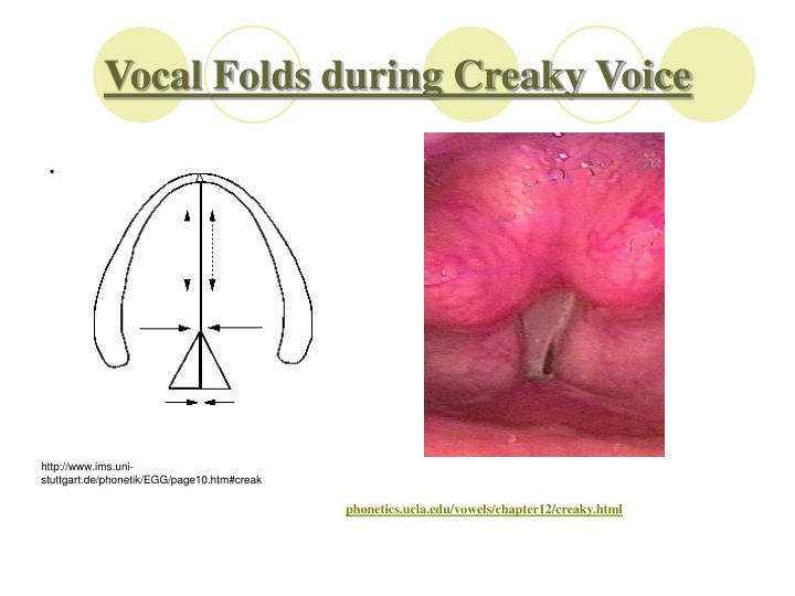 exle of vocal fry ppt voicing phonation powerpoint presentation id 1290692 exle of vocal fry ppt voicing phonation powerpoint presentation id 1290692