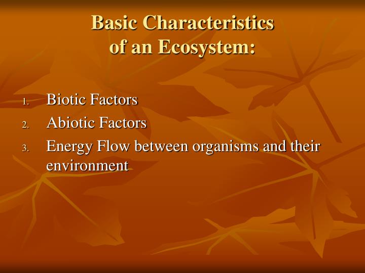 the basic characteristics of frogs Some generation x characteristics are fairly common in the workplace generation x is individualistic generation x came of age in an era of two-income families, rising divorce rates, and a faltering economy, although they would eventually enter the workforce during the healthier economic years of the clinton administration. the basic characteristics of frogs Some generation x characteristics are fairly common in the workplace generation x is individualistic generation x came of age in an era of two-income families, rising divorce rates, and a faltering economy, although they would eventually enter the workforce during the healthier economic years of the clinton administration.