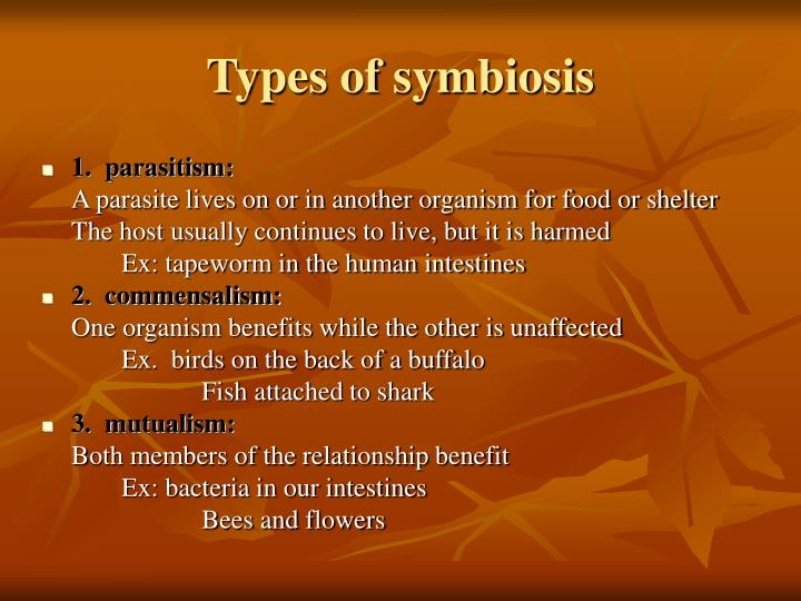 what are the 3 types of symbiosis