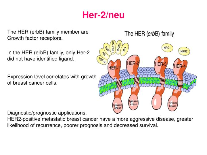 PPT BioMarker PowerPoint Presentation ID1302075 PPT BioMarker PowerPoint Presentation ID1302075