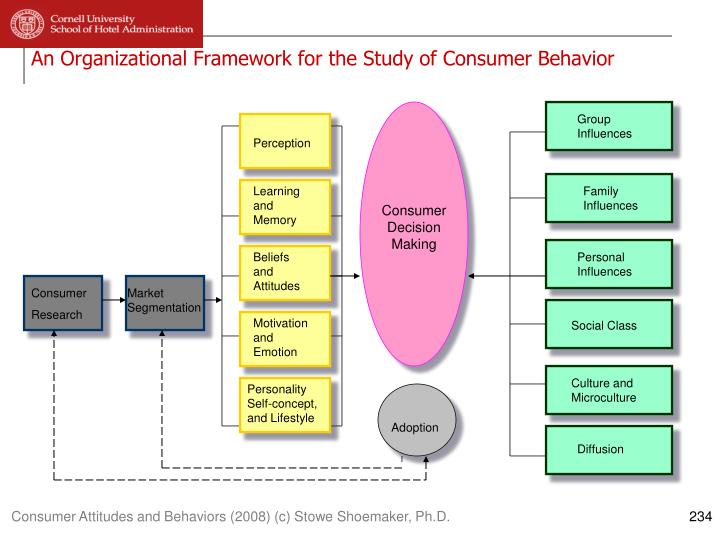Organizational culture case study