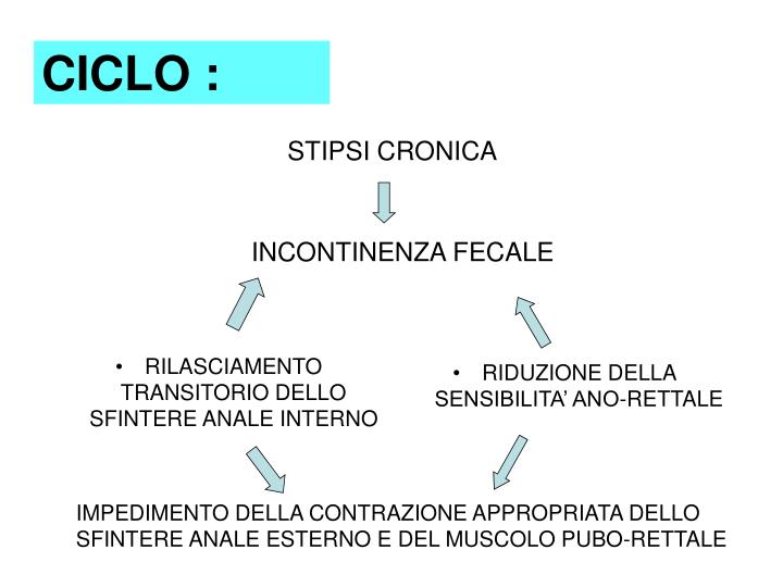 Camomilla da emorroidi a gravidanza