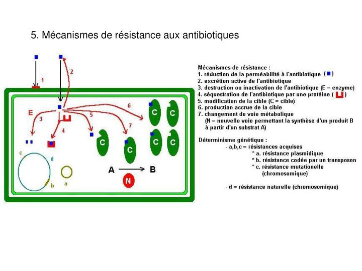 PPT - BTS Analyses de Biologie Médicale Cours de PPT - BTS Analyses de Biologie Médicale Cours de
