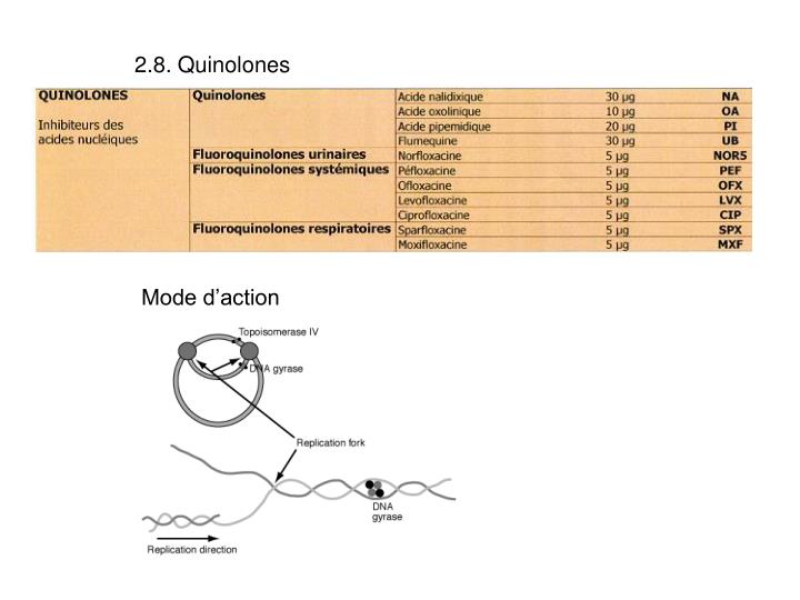 PPT - BTS Analyses de Biologie Médicale Cours de PPT - BTS Analyses de Biologie Médicale Cours de