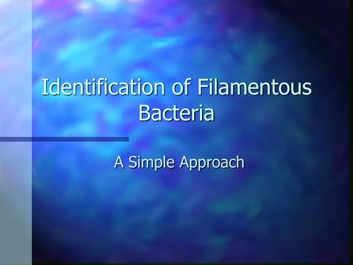 identification of bacteria Classification of bacteria is extensive and complex but can be done based some of the aspects of bacterial classification also help in identification bacteria. identification of bacteria Classification of bacteria is extensive and complex but can be done based some of the aspects of bacterial classification also help in identification bacteria.