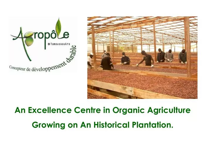 Business Plan Farming