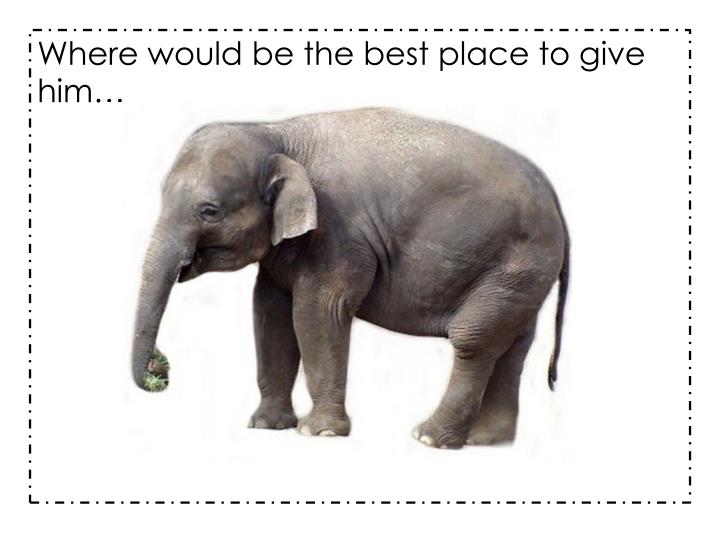 Ppt Will An Elephant Fit In A Bathtub And Other Capacity Where Would Be The Best Place To Give Him