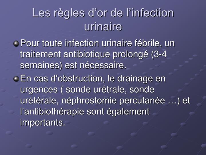 PPT - Infections génito-urinaires PowerPoint Presentation PPT - Infections génito-urinaires PowerPoint Presentation