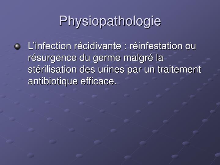 PPT - Infections génito-urinaires PowerPoint Presentation PPT - Infections génito-urinaires PowerPoint Presentation
