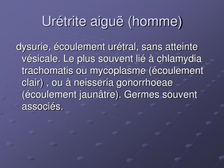 PPT - Infections génito-urinaires PowerPoint Presentation PPT - Infections génito-urinaires PowerPoint Presentation