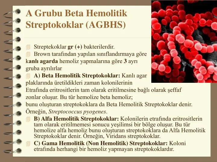 PPT - A Grubu Beta Hemolitik Streptokoklar (AGBHS) PowerPoint ...