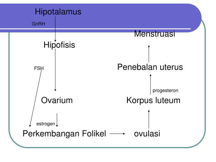 Cairan sperma encer