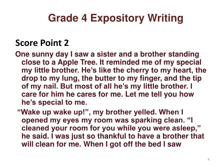 Homework help expository writing